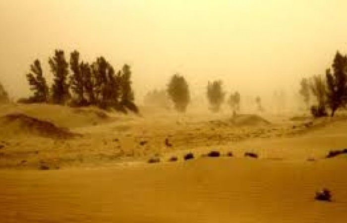 طوفان شدید گرد و خاک در شهرستان دلگان/ ریزش محصول خرما کشاورزان بر اثر وزش باد شدید