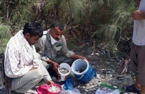 دستگیری عامل صید با مواد شیمیایی در سیستان و بلوچستان